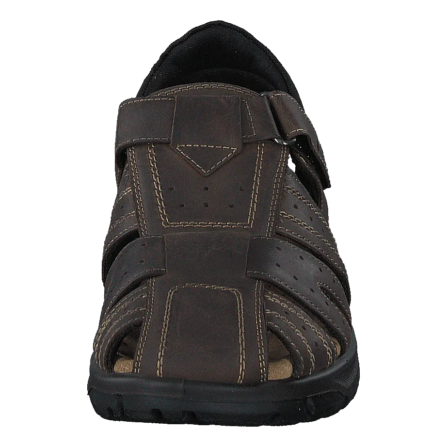 451-0018 Brown
