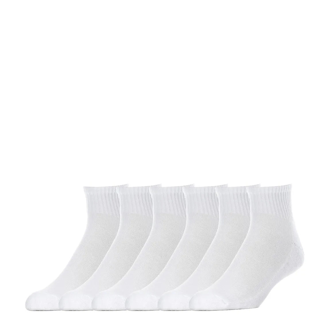 6 Pack Medium Quarter