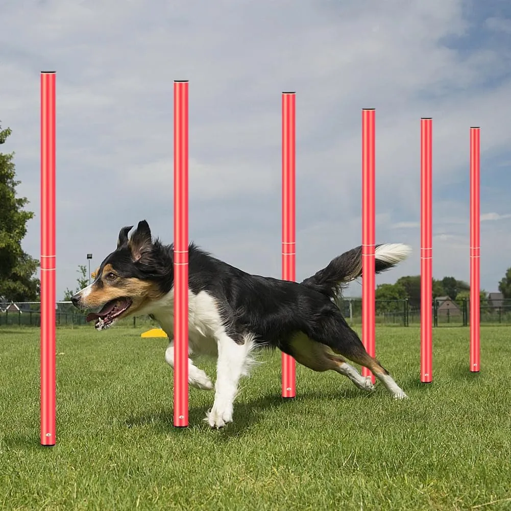 Agility Training Set - Includes Poles (Set of 6) Drills, Agility Ladder, 10 Cones & Jump Rope for Speed and AgilityTraining