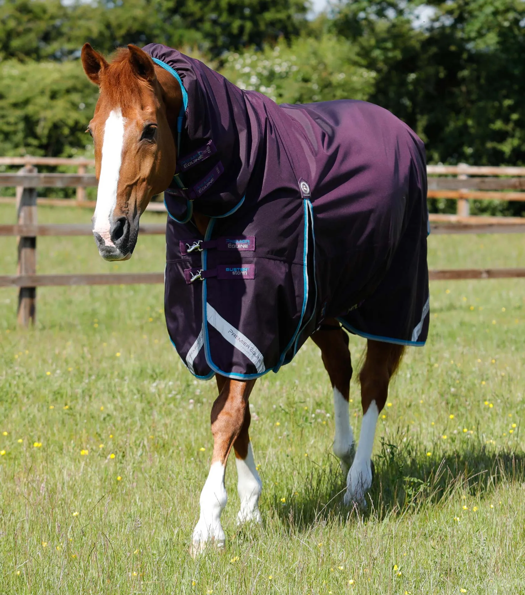 Buster Storm 100g Combo Turnout Rug with Snug-Fit Neck Purple