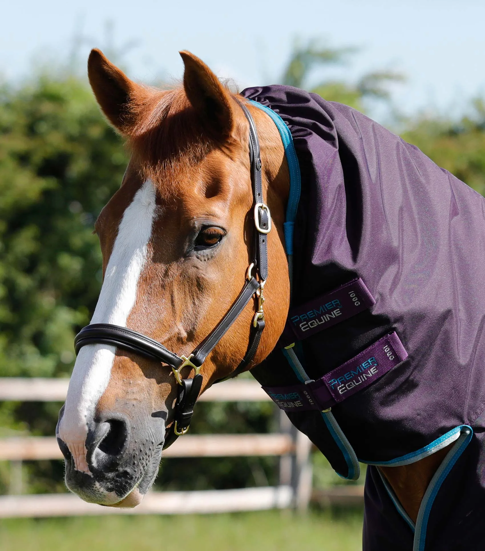 Buster Storm 100g Combo Turnout Rug with Snug-Fit Neck Purple