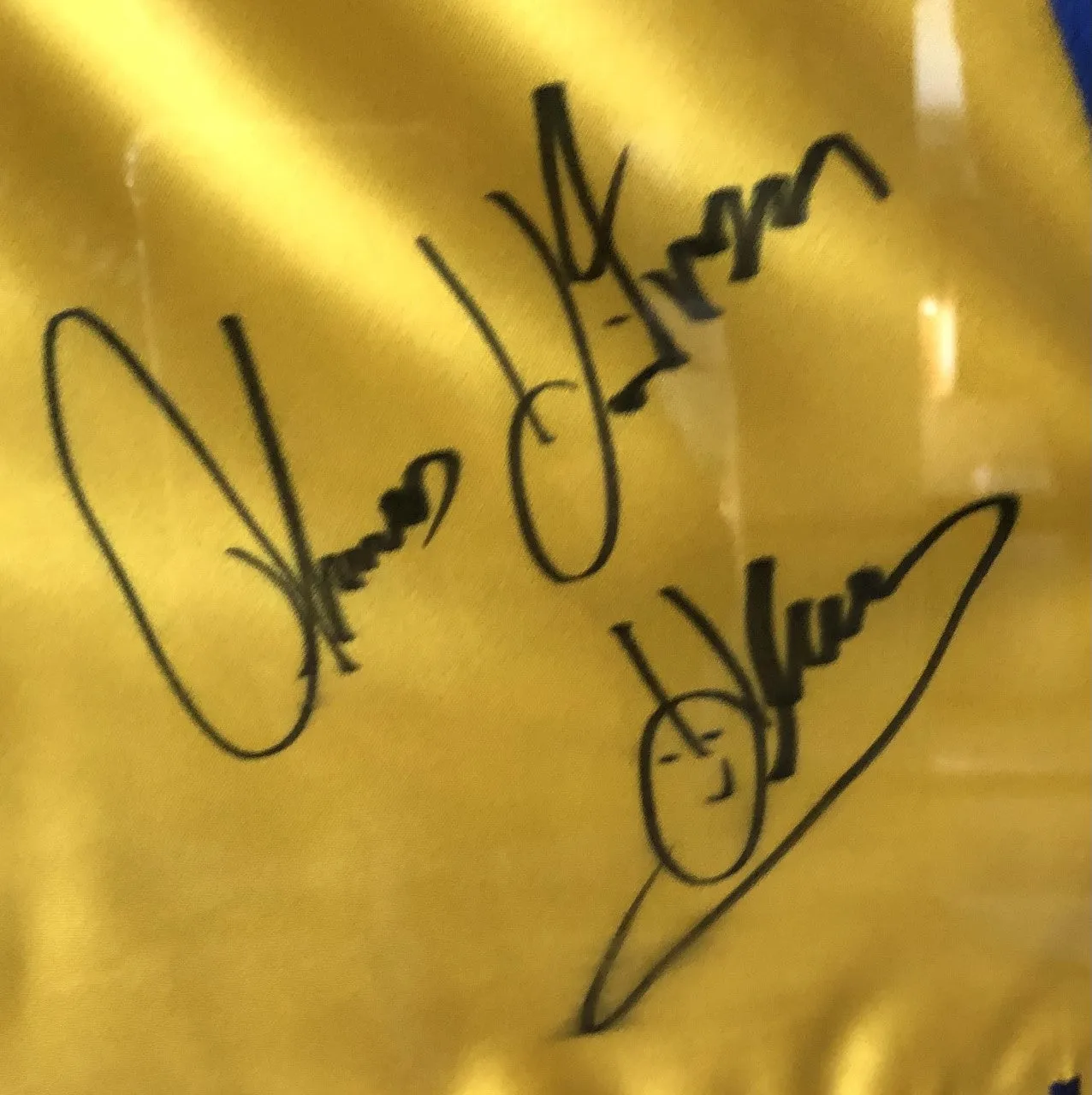 Duran vs Hearns Dual signed Custom Autographed signed Boxing Trunks RARE JSA