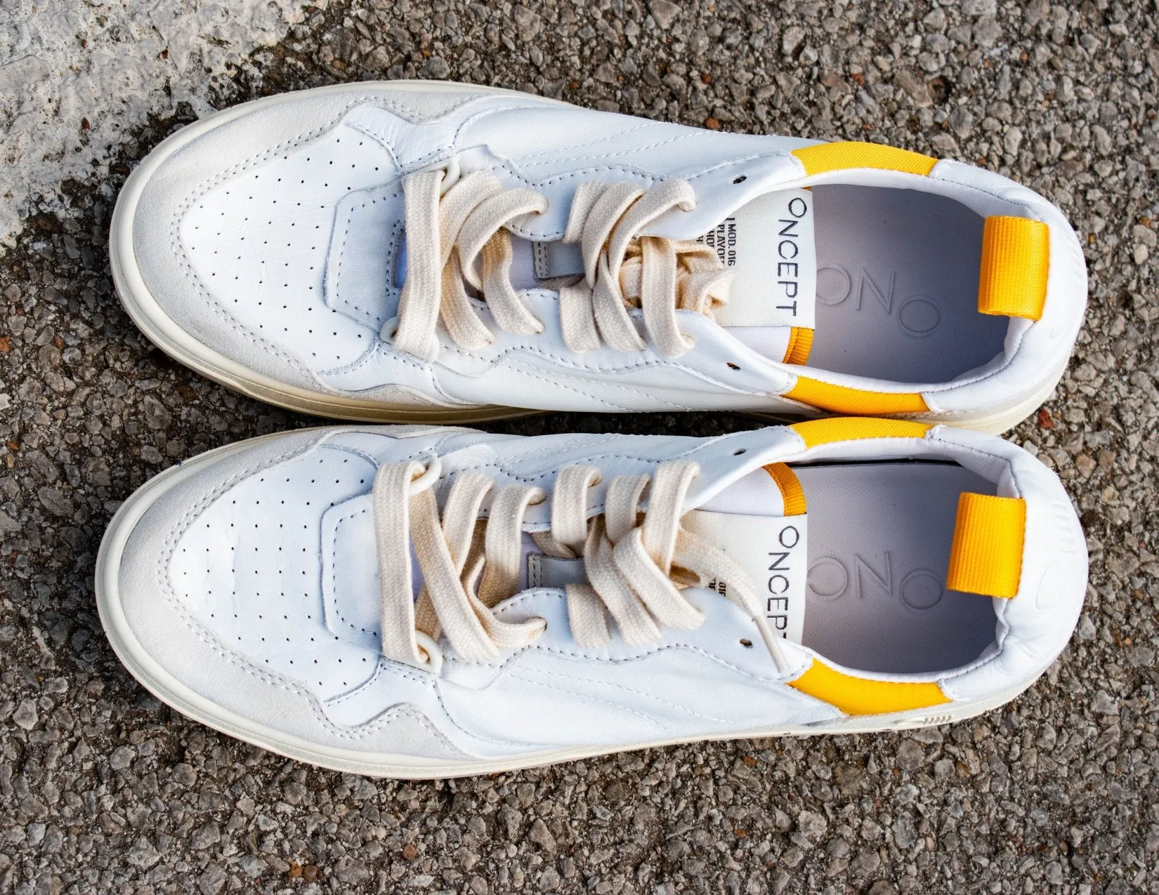 Oncept: Phoenix in White Cloud