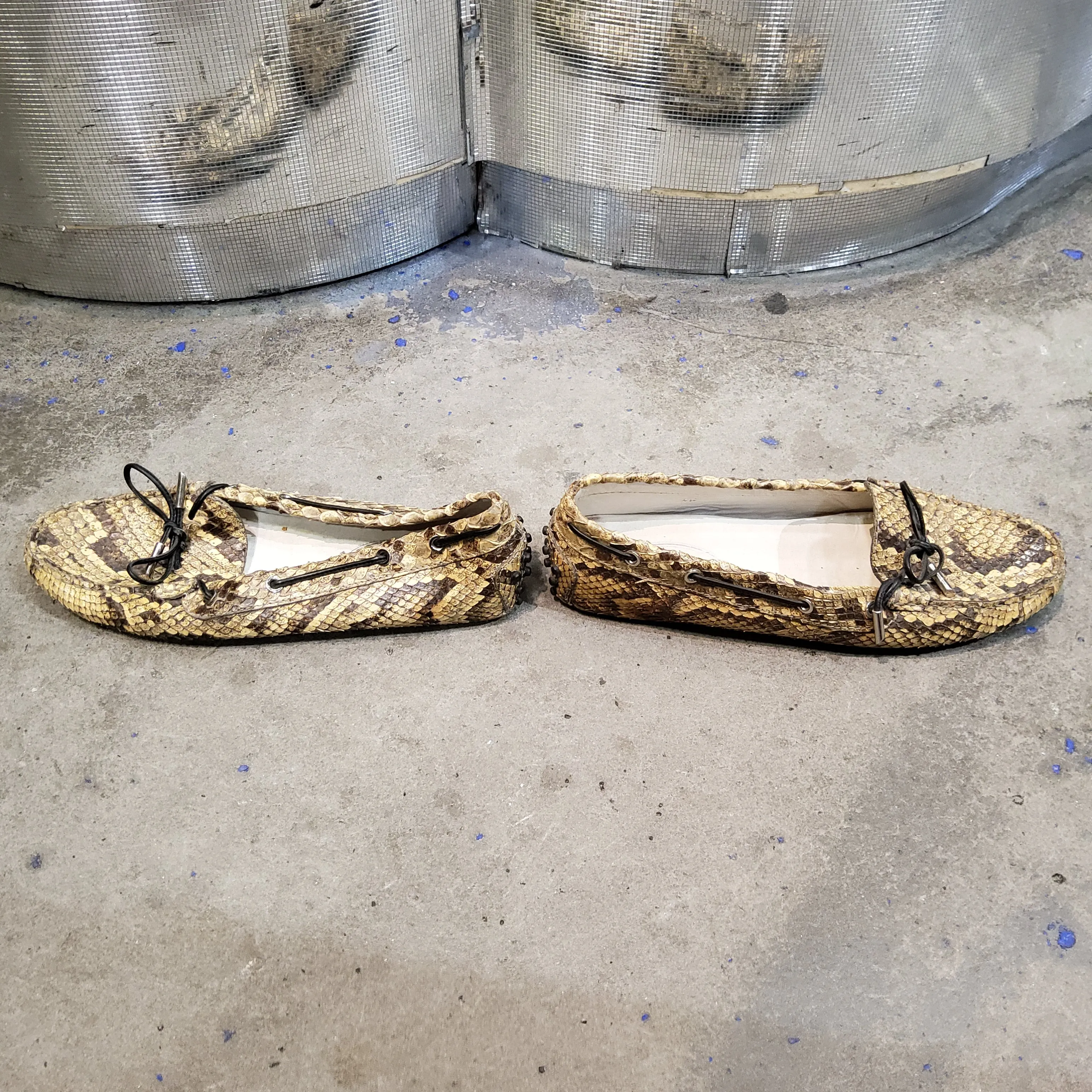 Python loafers