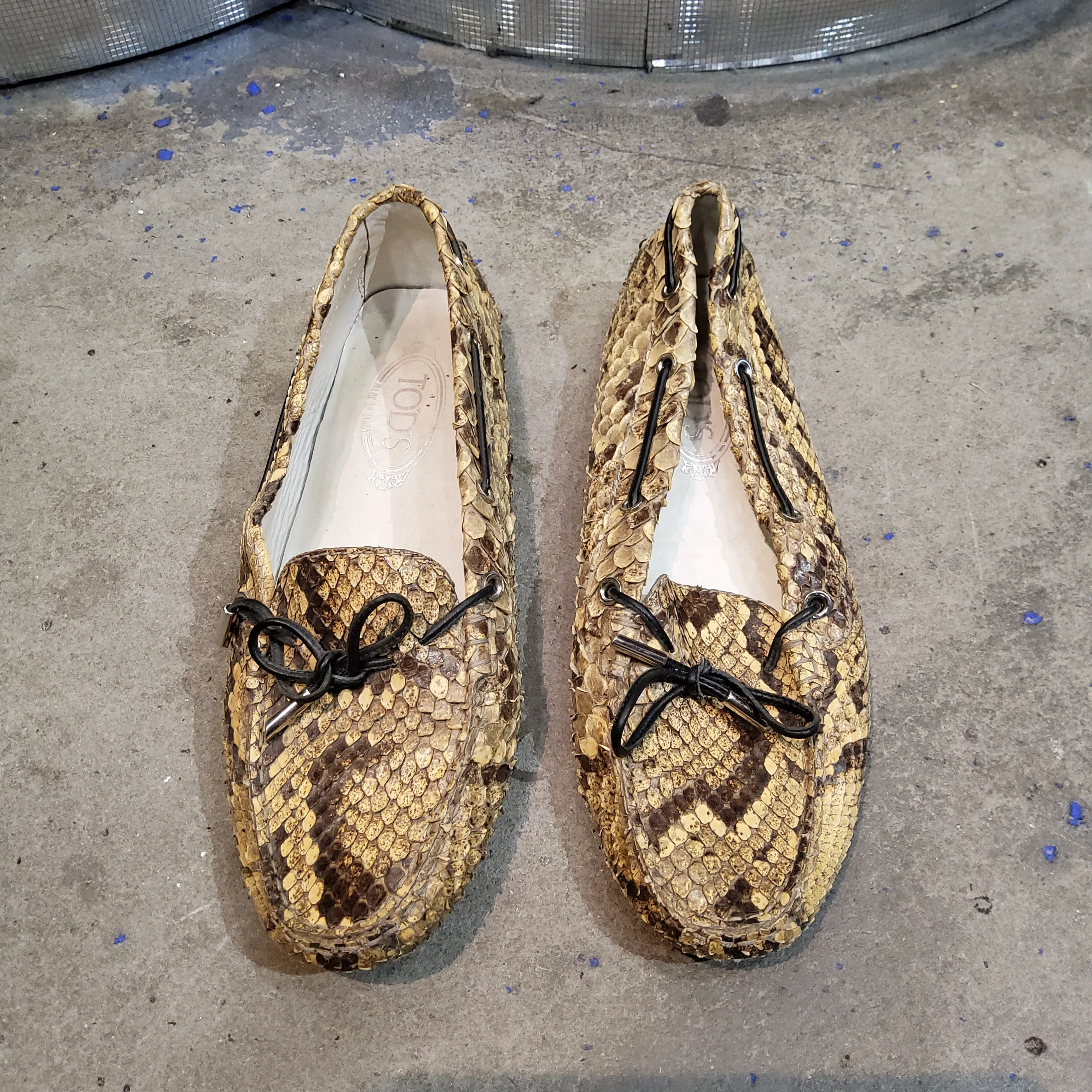 Python loafers
