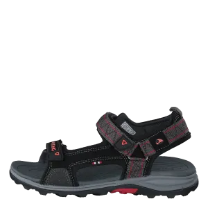 Sandoey Black/red